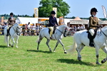 SBM_15284