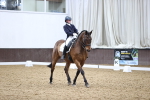 SBM_006677