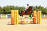 SBM_000737