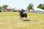SBM_17222