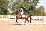 SBM_01785