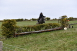WJ5_6374