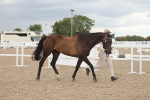 SBM_06948
