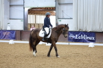 SBM_000379