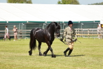 SBM_07182