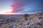 Cox Tor
