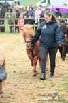 SHETPR 210425 25