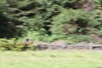 FOM_0721