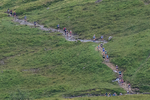 Wasdale-8
