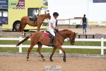 Cls 5 Foxhunter & 1.20m Open portfolio