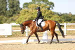 SBM_007646