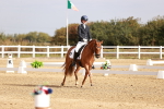 SBM_016914