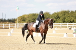 SBM_019314