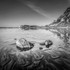 IMR_2952 v2 bw