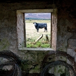 It became a land framed by barbed wire and inescapable poverty.