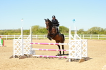 SBM_000695