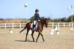 SBM_013039