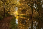 Between Bridges 29 and 30, Macclesfield Canal (5)