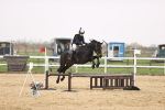 SBM_001690