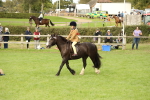 SBM_71554