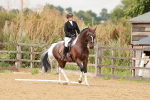 SBM_001911