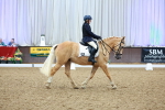 SBM_000751