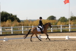 SBM_007026