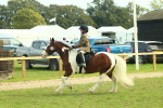 SBM_68239