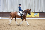 SBM_000765