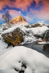 The Golden Summit