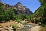 A walk through Zion