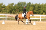 SBM_011331