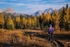 Wonder Pass Larch