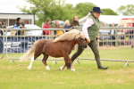 SBM_04437
