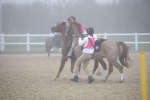 SBM_000988