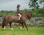 Dunblane show-627