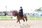 SBM_03340