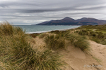 Sand Dunes of Murlough, County Down