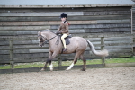 SBM_005954