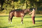 SBM_56871