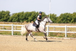 SBM_000838