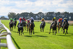 140926-Race 4-Lamlash Bay-7215