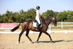 SBM_006657