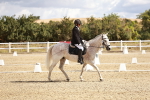 SBM_003516