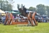 BPP_7650