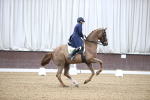 SBM_000634