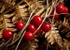 Black Bryony