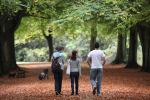 Bristol Landscpe_Autunm walk_Clifton_B0175_Ian Wade