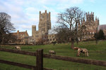 Ely Cathedral