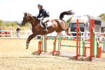 SBM_000640